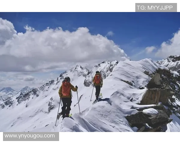 成都极限运动队状态分析与表现评估的全面研究与探讨